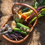 Food in basket